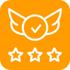 checkmark and stars icon